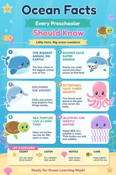 Ocean Facts for Preschoolers