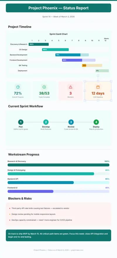 Project Status Report