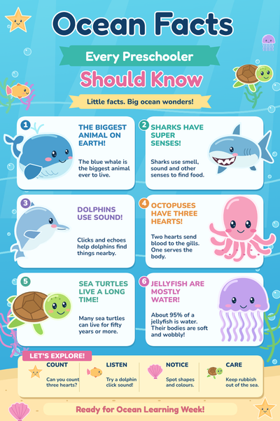 Ocean Facts for Preschoolers